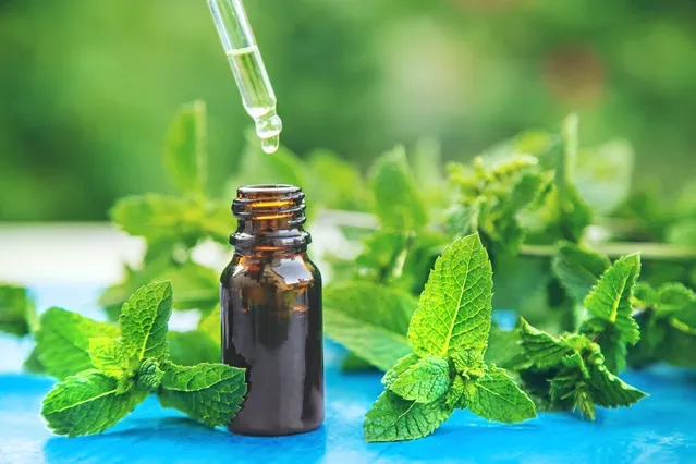 Aromatherapie mit ätherischen Ölen